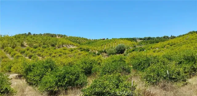 a view of a large yard with lots of green space