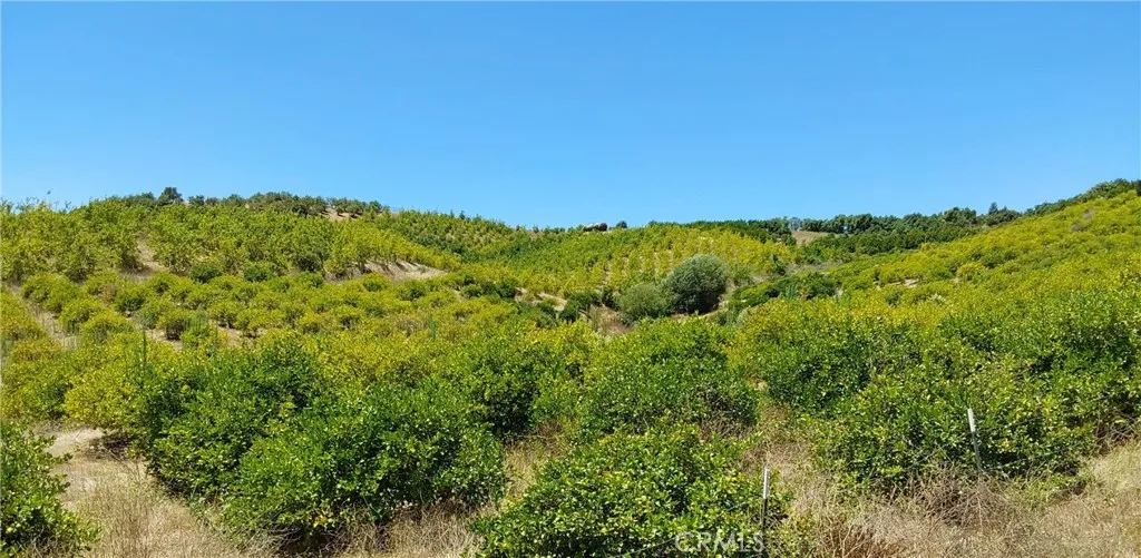 5 De Anza Road Temecula, CA 92590 - Photo 19 of 28 a view of a large yard with lots of green space