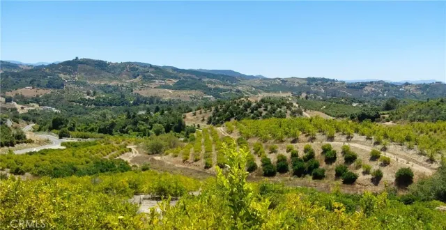 a view of a forest with mountains in the background