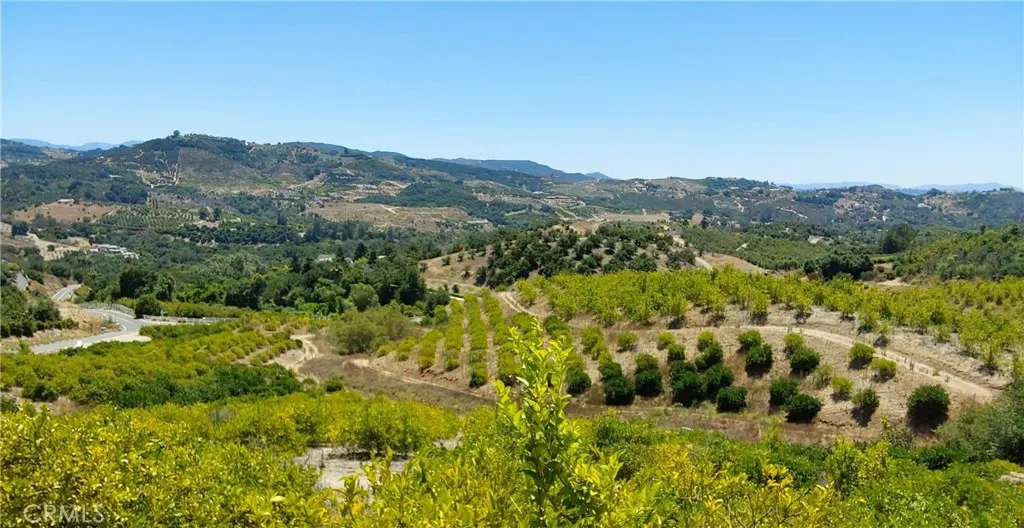 5 De Anza Road Temecula, CA 92590 - Photo 2 of 28 a view of a forest with mountains in the background