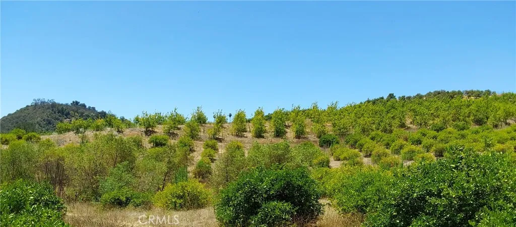 5 De Anza Road Temecula, CA 92590 - Photo 21 of 28 a view of a green field