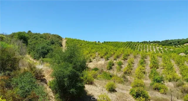 a view of a green field with lots of bushes