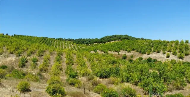 a view of a large yard with lots of green space