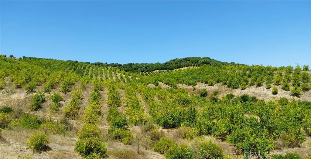 5 De Anza Road Temecula, CA 92590 - Photo 25 of 28 a view of a large yard with lots of green space
