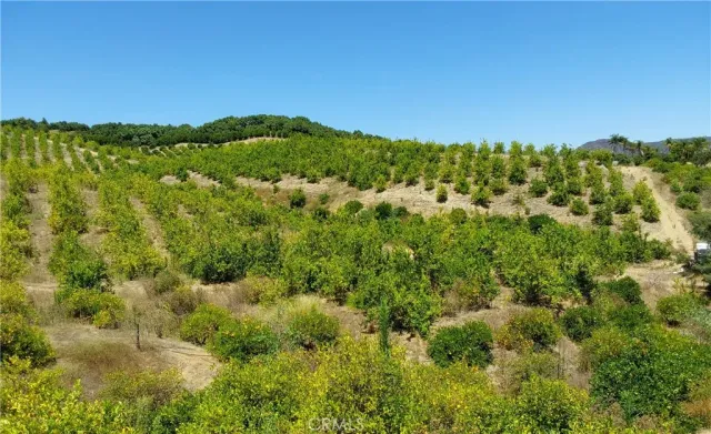 a view of a green field