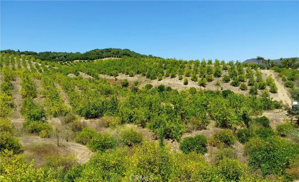 5 De Anza Road Temecula, CA 92590 - Photo 26 of 28 a view of a green field