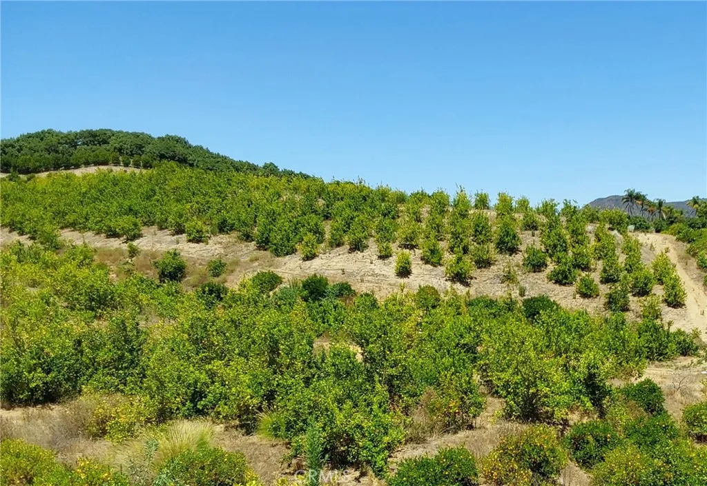 5 De Anza Road Temecula, CA 92590 - Photo 27 of 28 a view of a green yard