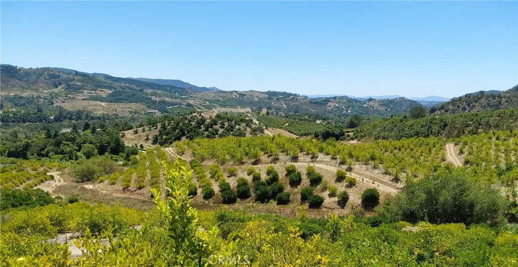 5 De Anza Road Temecula, CA 92590 - Photo 3 of 28 a view of a forest with mountains in the background