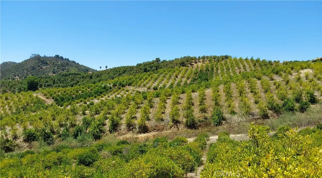 5 De Anza Road Temecula, CA 92590 - Photo 6 of 28 a view of a green field
