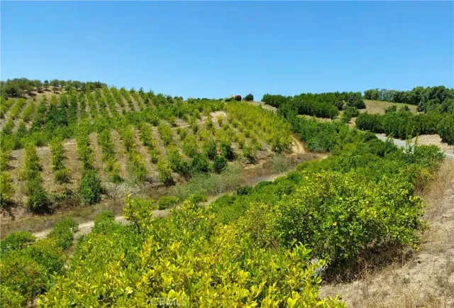 a view of a green yard