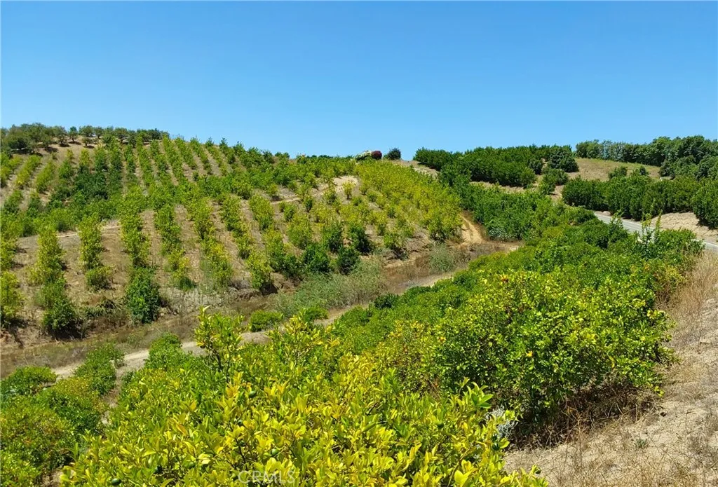 5 De Anza Road Temecula, CA 92590 - Photo 8 of 28 a view of a green yard