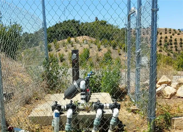 a view of a yard with plants and large trees