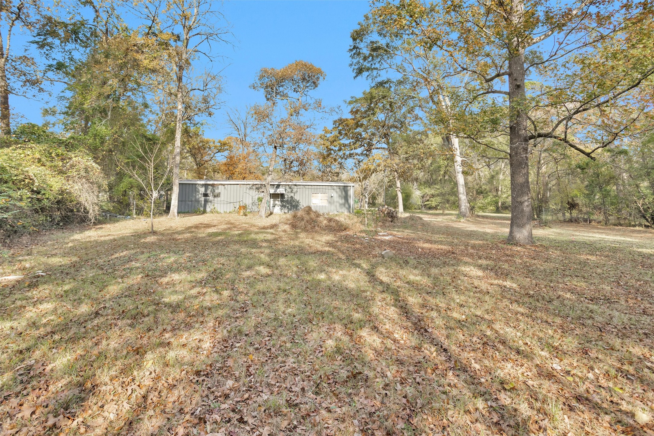 75 South Pavey Circle New Waverly, TX 77358 - Photo 16 of 21 a view of yard with large trees