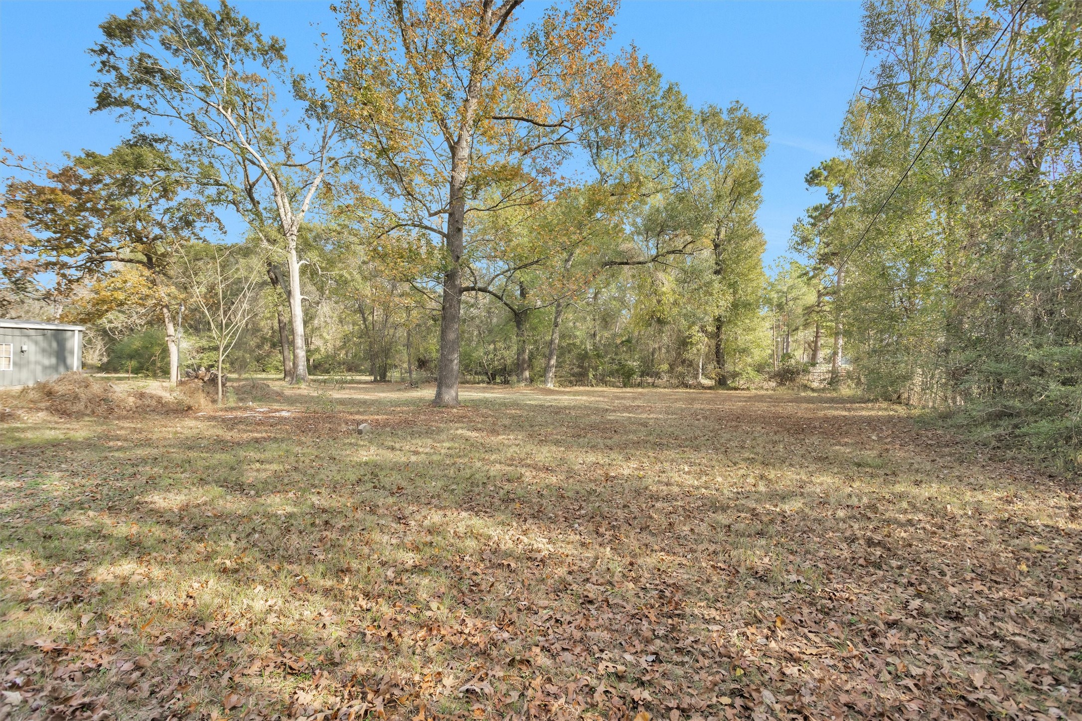 75 South Pavey Circle New Waverly, TX 77358 - Photo 17 of 21 a view of dirt field with large trees