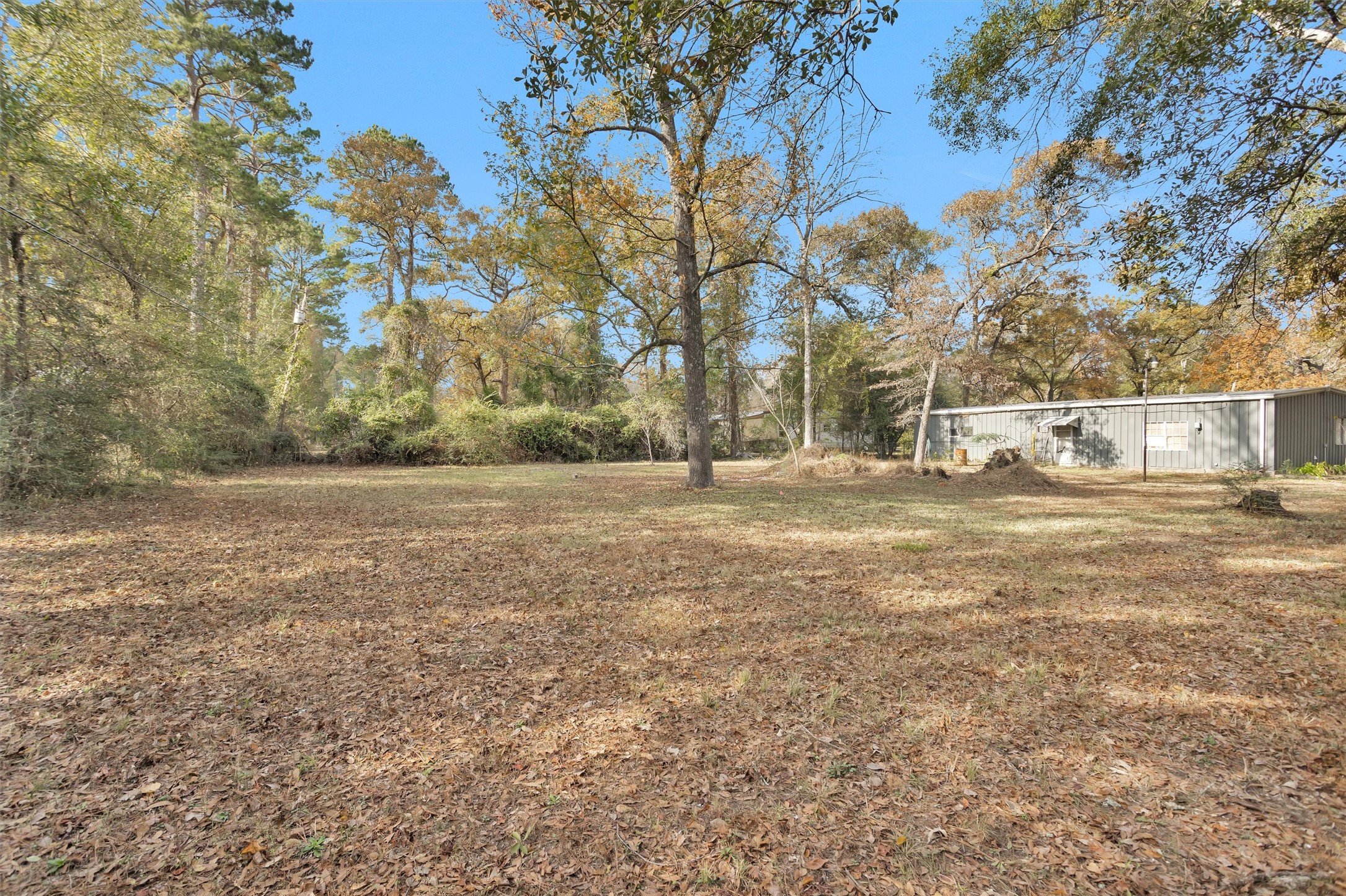 75 South Pavey Circle New Waverly, TX 77358 - Photo 18 of 21 a view of dirt field with large trees
