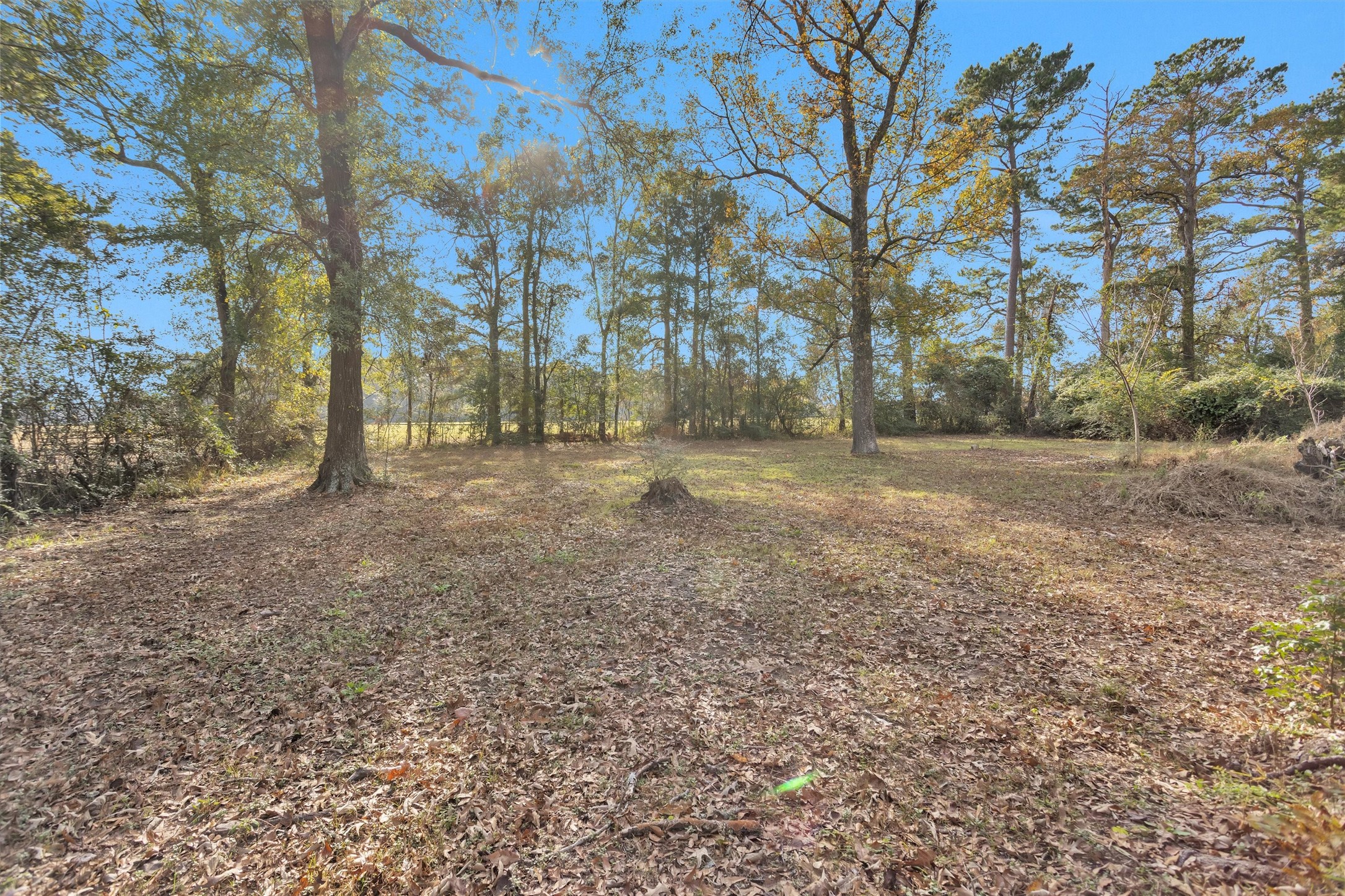 75 South Pavey Circle New Waverly, TX 77358 - Photo 19 of 21 a view of a yard with trees