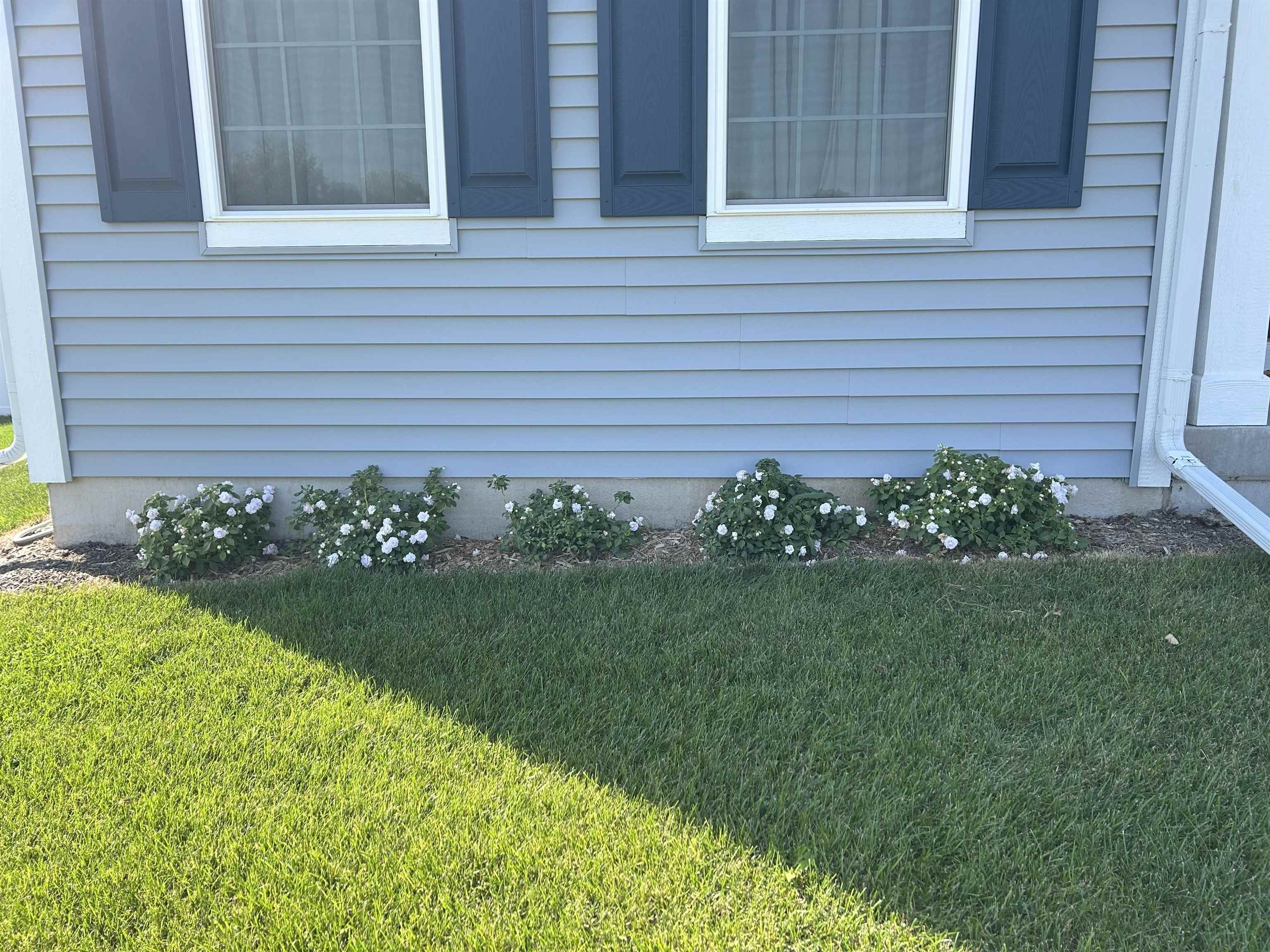 517 Buss Road Cottage Grove, WI 53527 - Photo 4 of 76