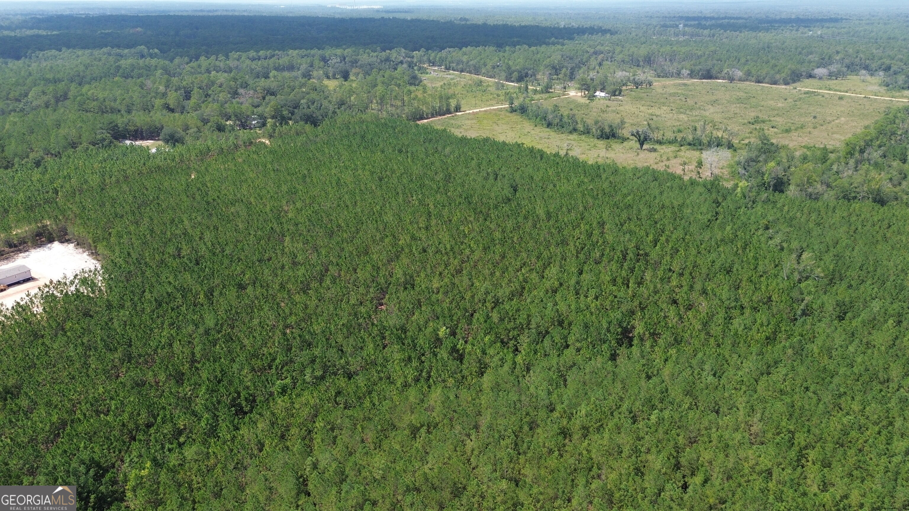 Tract 3 Penny Morris Road Baxley, GA 31513 - Photo 6 of 8 Gallery Image 6