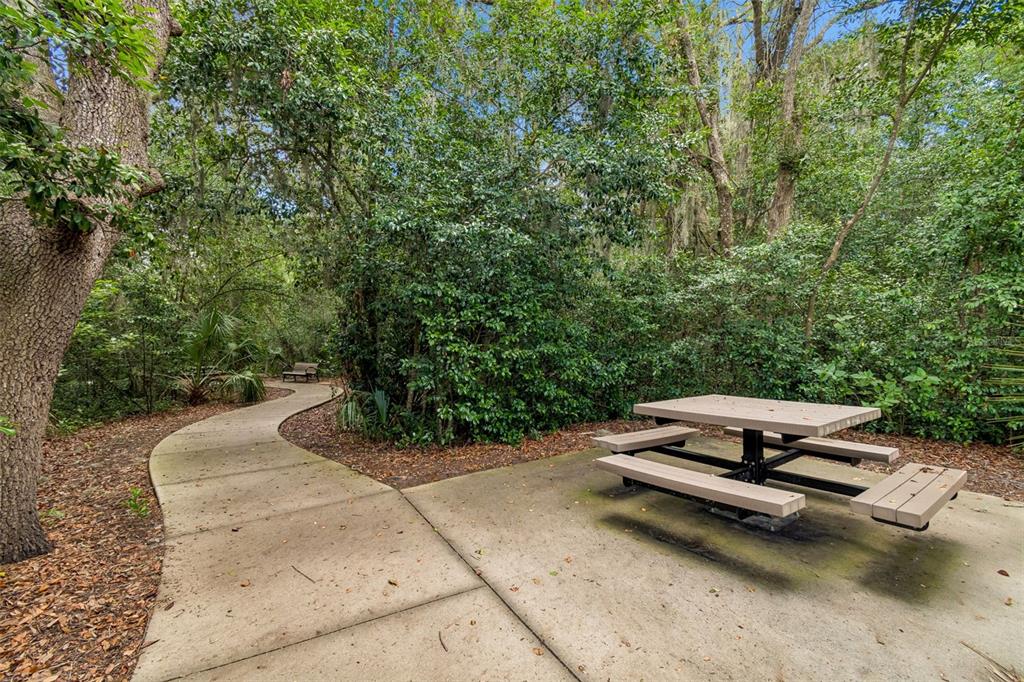 6065 Spring Crayfish Avenue New Port Richey, FL 34653 - Photo 49 of 61