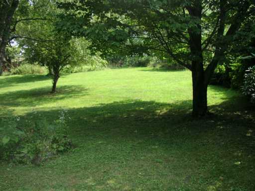 920 Thomas Eighty Four Road Eighty Four, PA 15330 - Photo 7 of 8