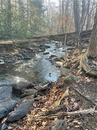 a view of a forest from a window