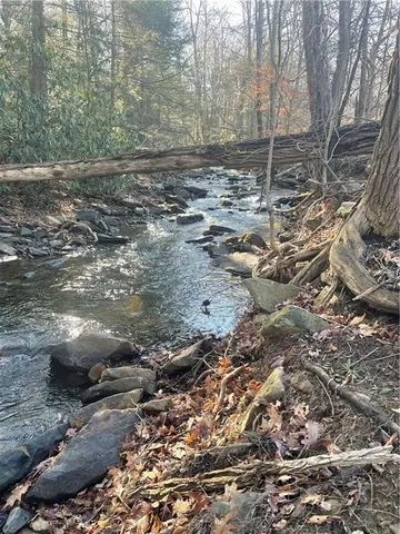 a view of a forest from a window