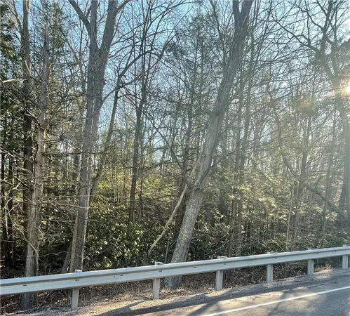 a view of a yard with a fountain