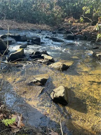 a view of a backyard of a house