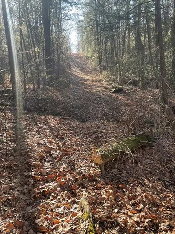 a view of a yard with plants and trees