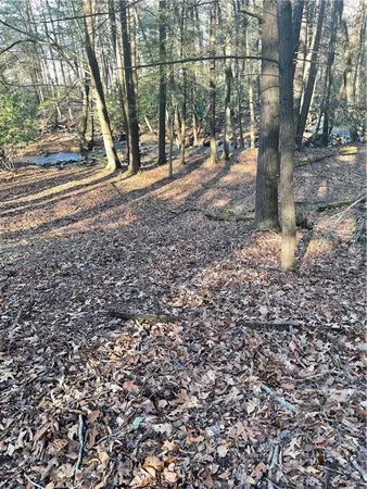 a view of a yard with a tree