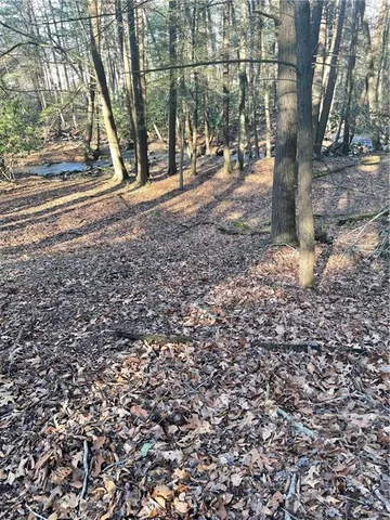 a view of a yard with a tree