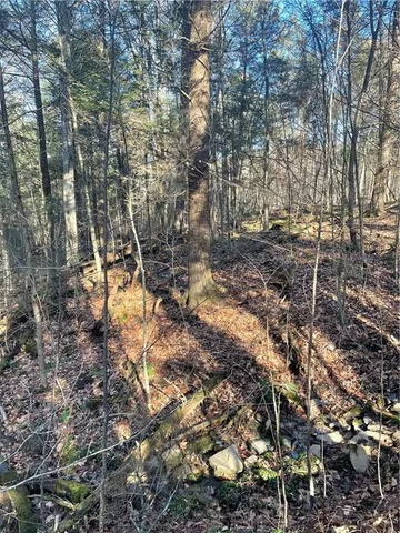 a backyard of a house with lots of plants and trees