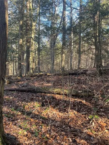 a view of yard with green space