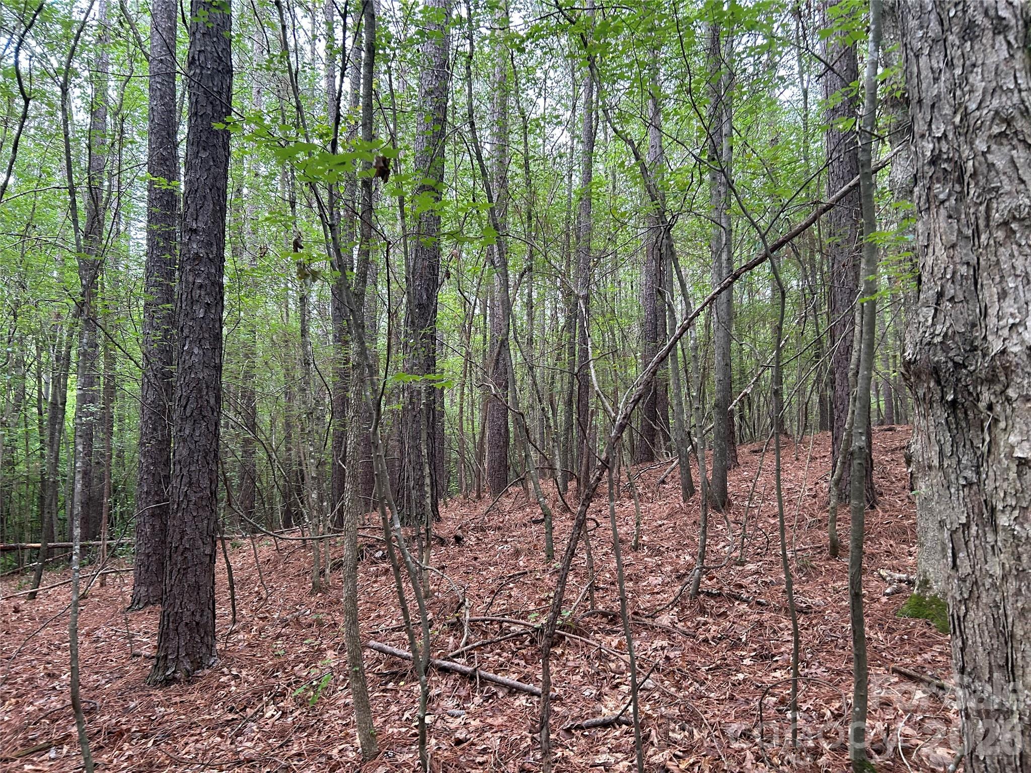 3909 Wightman Church Road Polkton, NC 28135 - Photo 44 of 48
