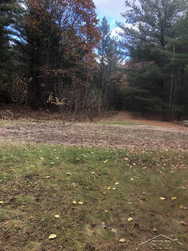 4559 East Sugar River Road Alger, MI 48610 - Photo 11 of 26