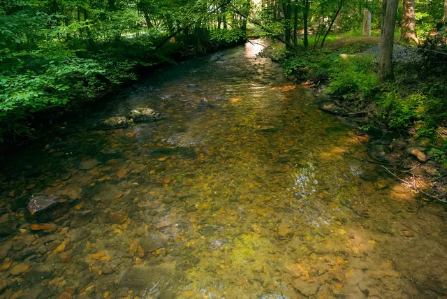 $599,000 | 184 Rockhouse Road, Cherry Log, GA 30522