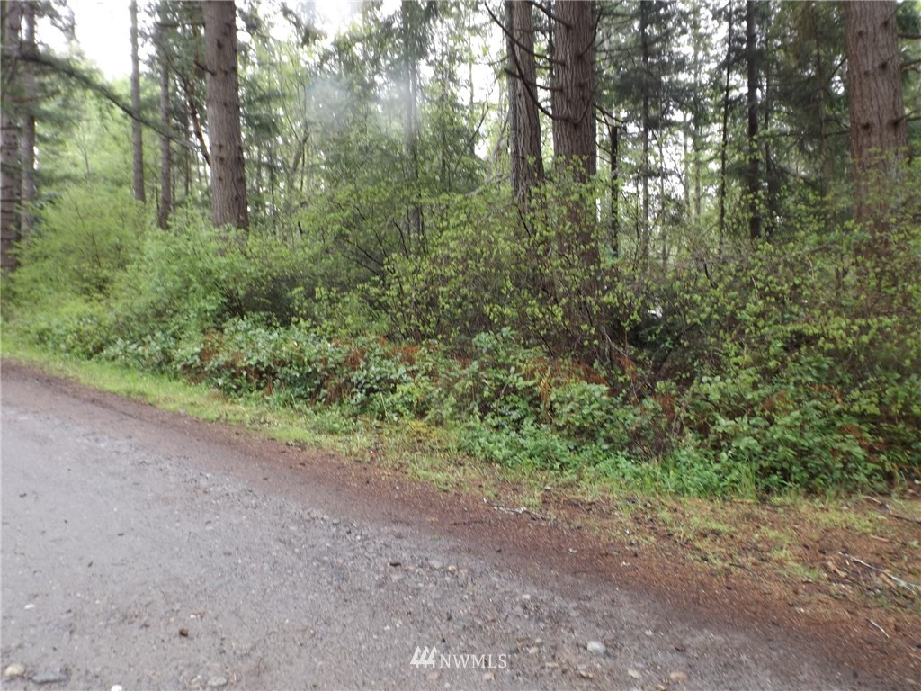 53 Eaton Road Quilcene, WA 98376 - Photo 18 of 21 Gallery Image 18