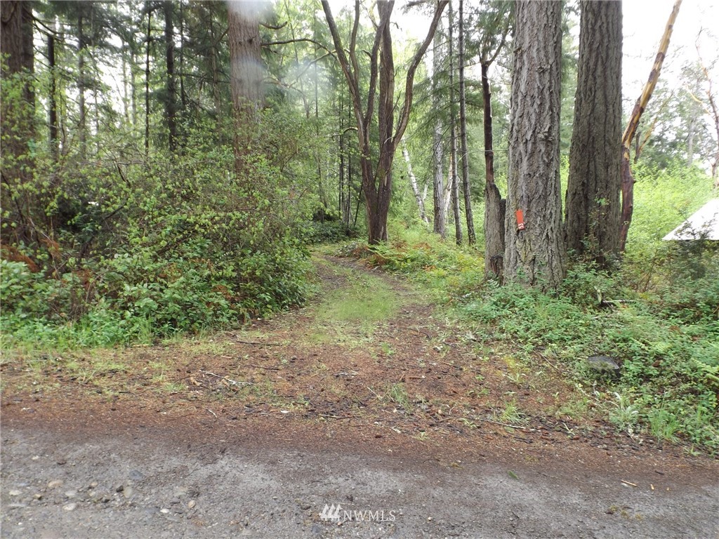 53 Eaton Road Quilcene, WA 98376 - Photo 19 of 21 Gallery Image 19