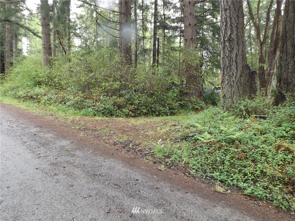 53 Eaton Road Quilcene, WA 98376 - Photo 20 of 21 Gallery Image 20