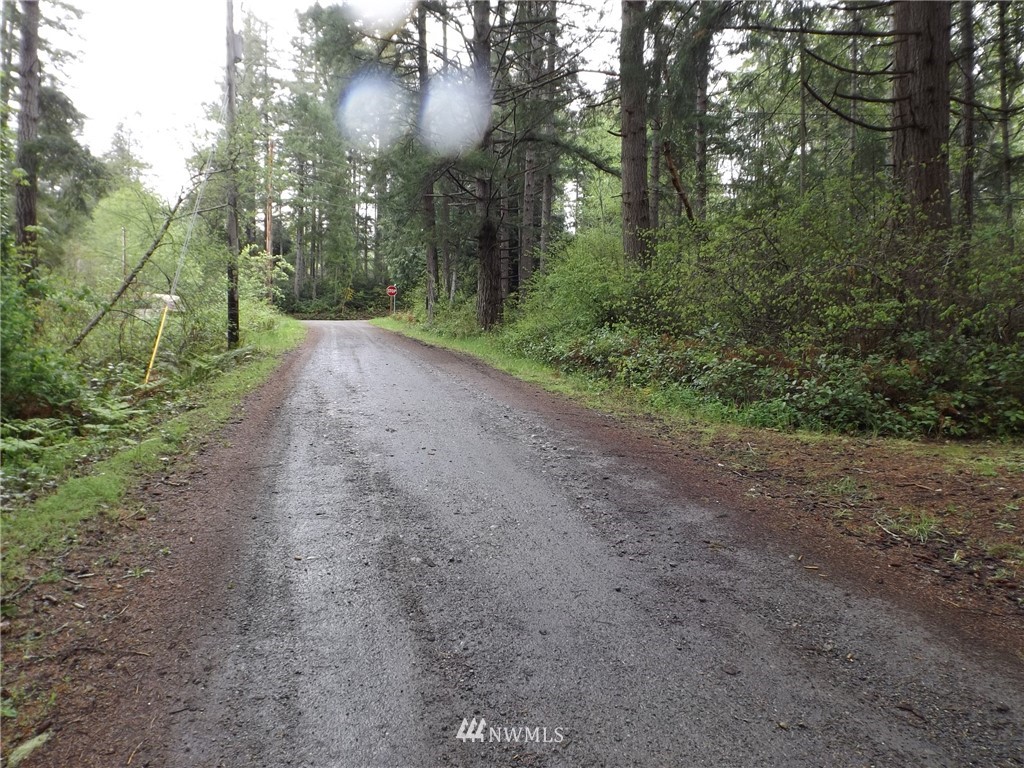 53 Eaton Road Quilcene, WA 98376 - Photo 21 of 21 Gallery Image 21