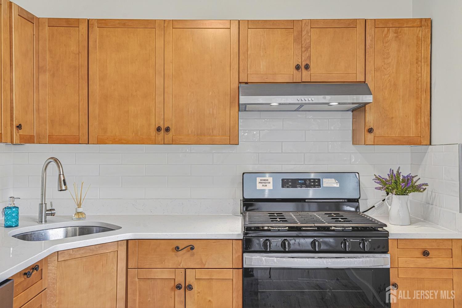 12 Joline Road Kendall Park, NJ 08824 - Photo 11 of 23 Gallery Image 11