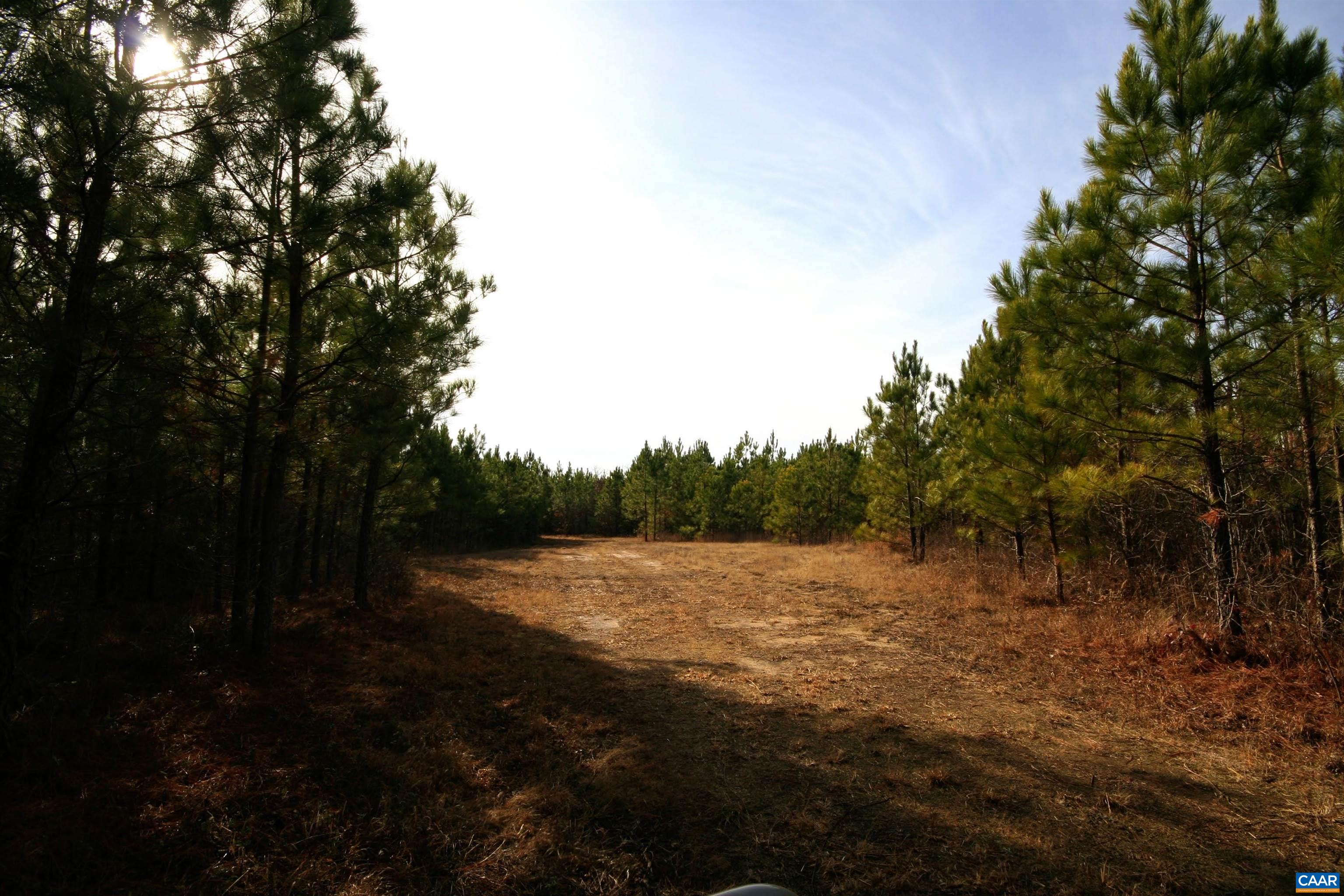 Tba Lot 1 Tba Road Cumberland, VA 23040 - Photo 29 of 68 Gallery Image 29