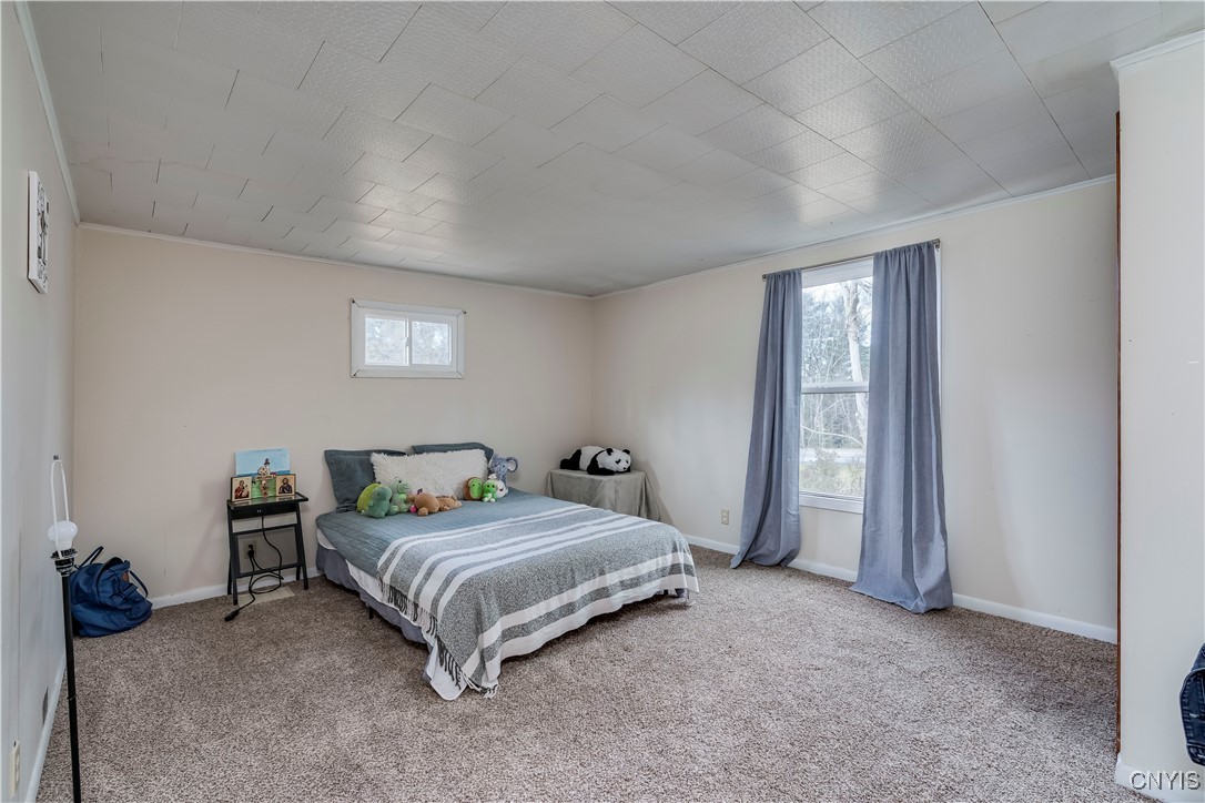 8133 Wood Road Diana, NY 13648 - Photo 17 of 42