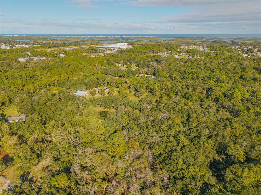 0 Clinton Cemetery Road Edgewater, FL 32141 - Photo 18 of 32