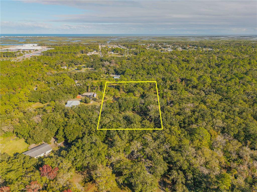 0 Clinton Cemetery Road Edgewater, FL 32141 - Photo 21 of 32