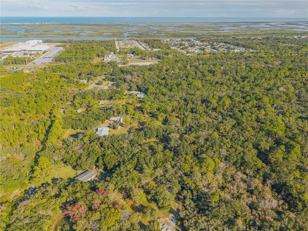 0 Clinton Cemetery Road Edgewater, FL 32141 - Photo 22 of 32