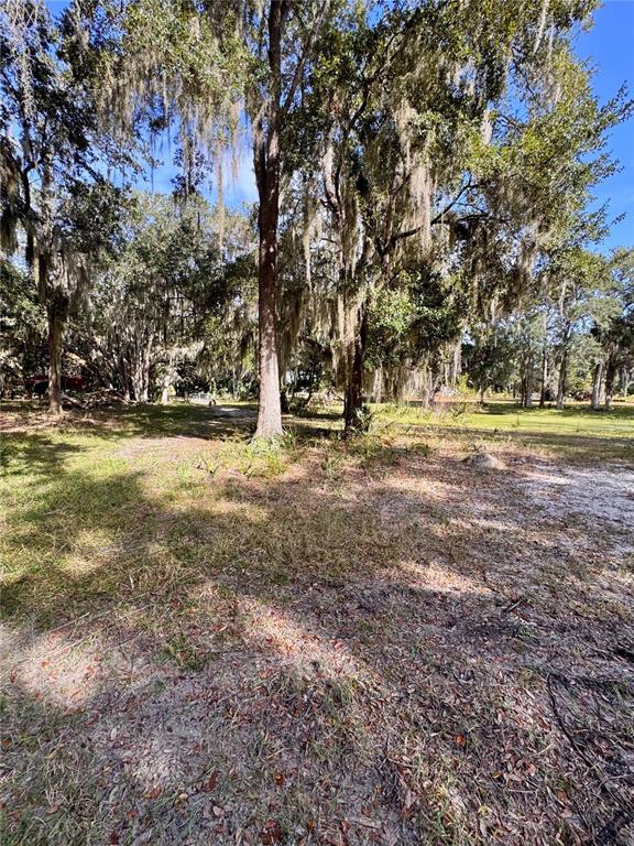 0 Clinton Cemetery Road Edgewater, FL 32141 - Photo 28 of 32