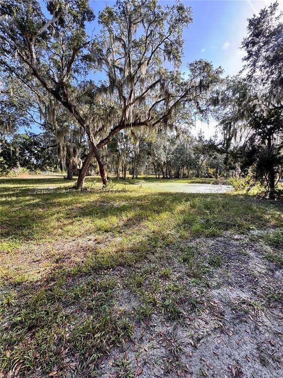 0 Clinton Cemetery Road Edgewater, FL 32141 - Photo 31 of 32