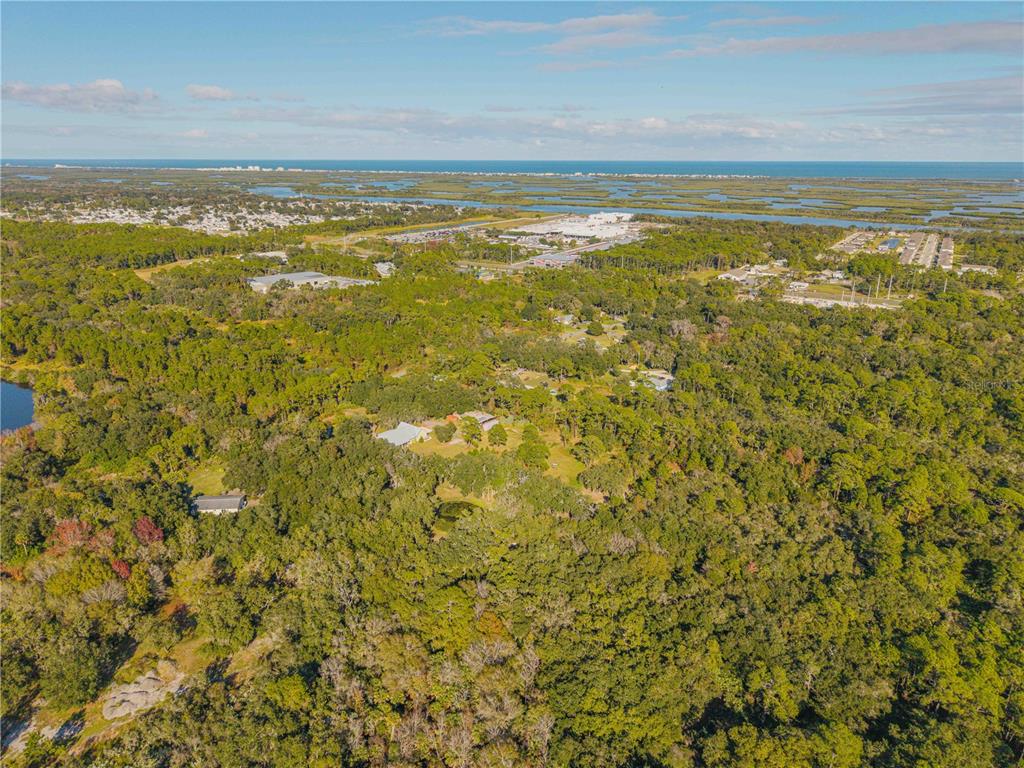 0 Clinton Cemetery Road Edgewater, FL 32141 - Photo 5 of 32