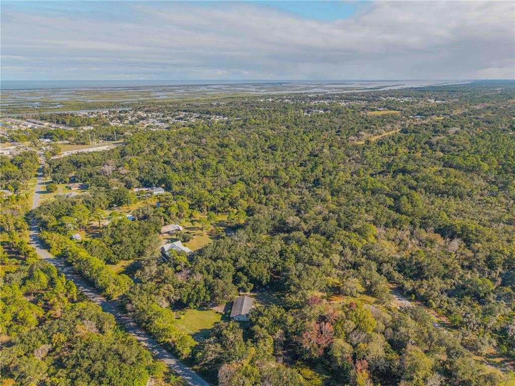 0 Clinton Cemetery Road Edgewater, FL 32141 - Photo 7 of 32